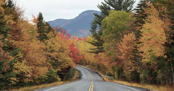 Road lined with trees that have autumn colored leaves on them